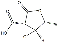 D-Ribonic acid, 2,3-anhydro-2-C-carboxy-5-deoxy-, 1,4-lactone (9CI) Structural