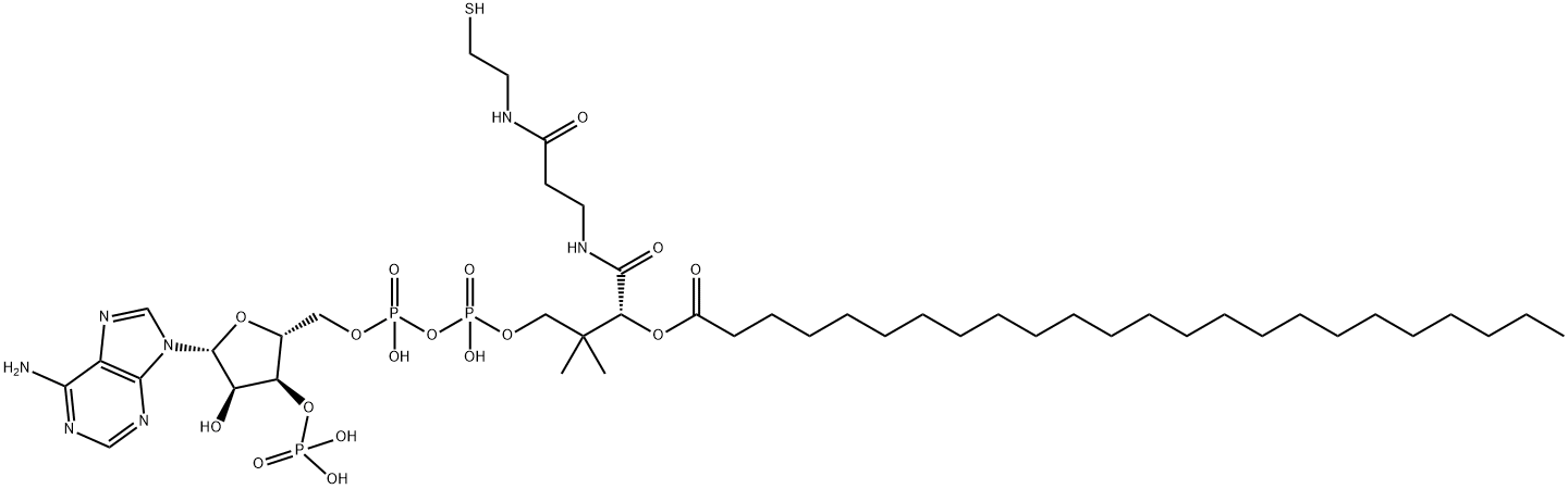 lignoceroyl-coenzyme A Structural