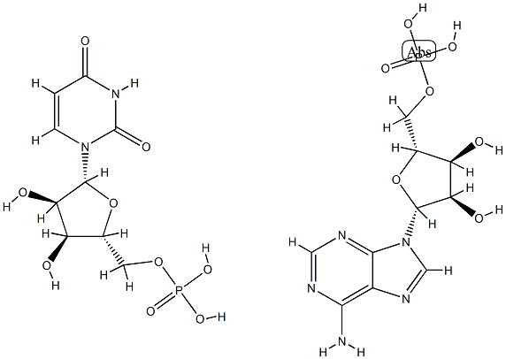 POLYADENYLIC-POLYURIDYLIC ACID SODIUM Structural