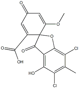 Erdin Structural