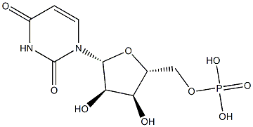 Polyuridylic acid potassium salt Structural