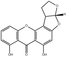 DHDMST Structural