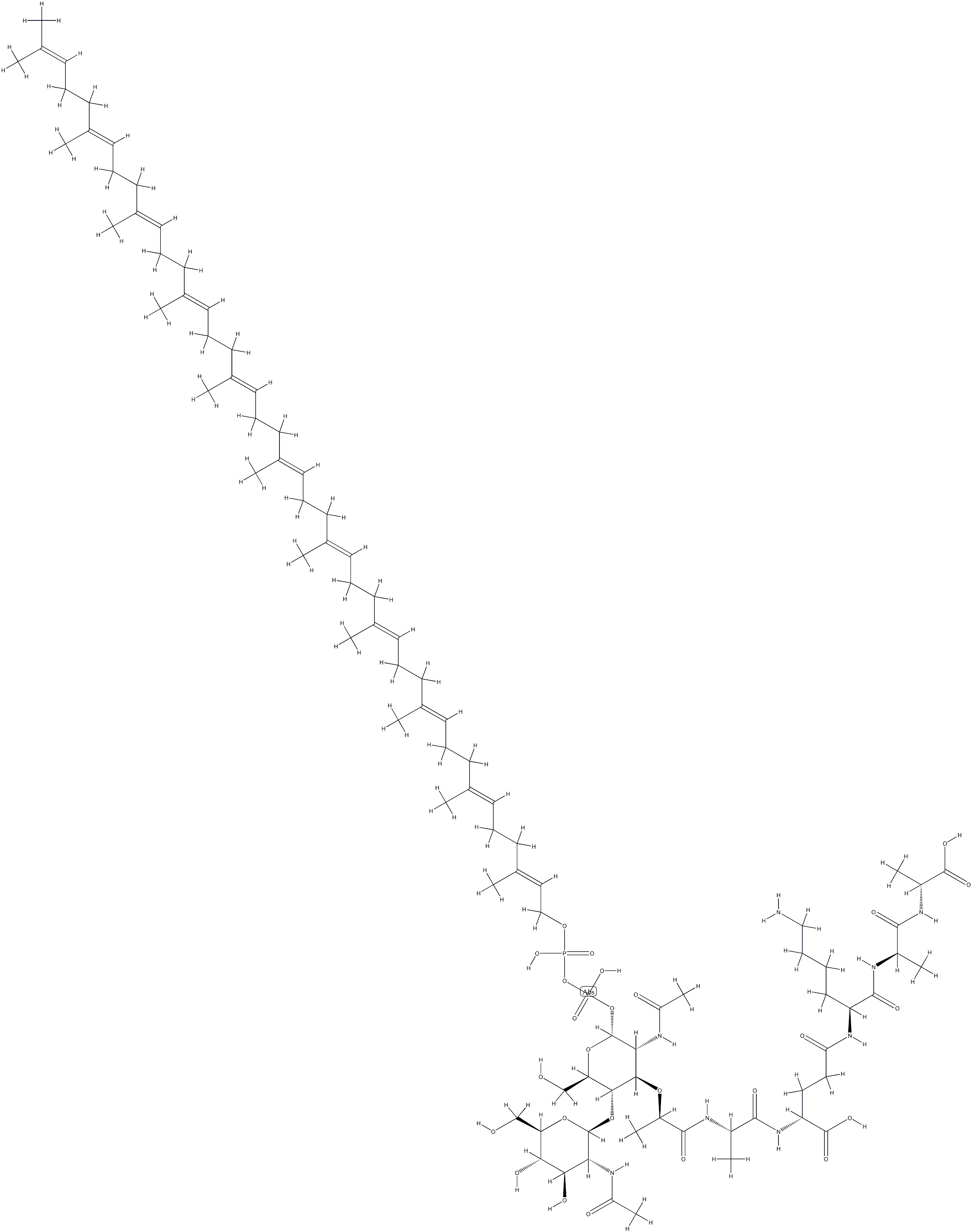 undecaprenyl diphosphate-(N-acetylglucosaminyl)(1-4)-N-acetylmuramoyl pentapeptide Structural