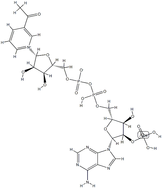 3-acetylpyridine-adenine dinucleotide phosphate