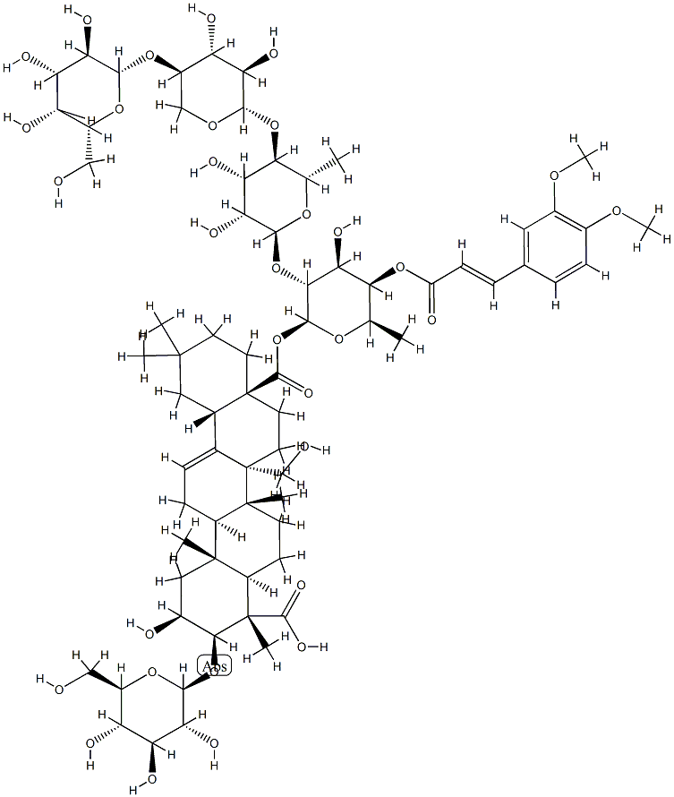 senegin II