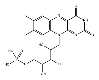 flavin mononucleotide semiquinone