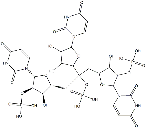 uridylyl-(3'-5')-uridylyl-(3'-5')-3'-uridylic acid Structural