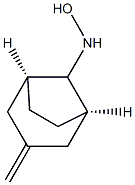 Bicyclo[3.2.1]octan-8-amine, N-hydroxy-3-methylene-, (8-syn)- (9CI) Structural