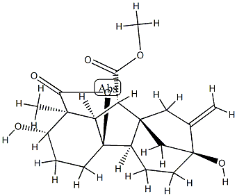 gibberellin A1 methyl ester Structural