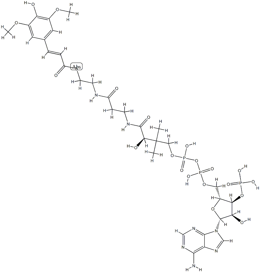 Sinapoyl-CoA Structural