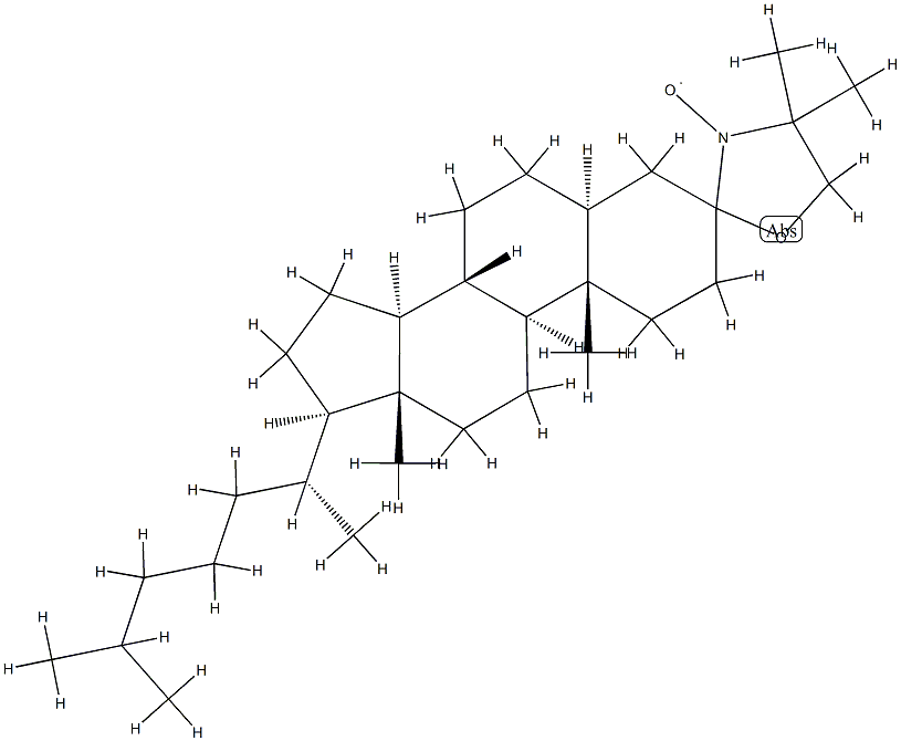 55569-61-4 structural image