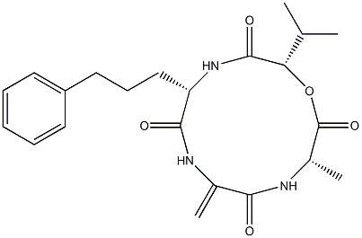 AM toxin II Structural