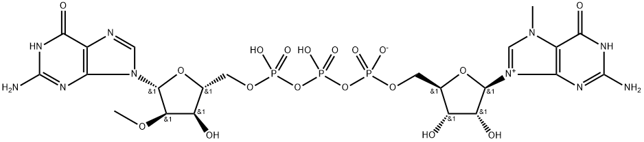 7-methylguanosine-5'-triphosphoryl-2'-O-methylguanosine