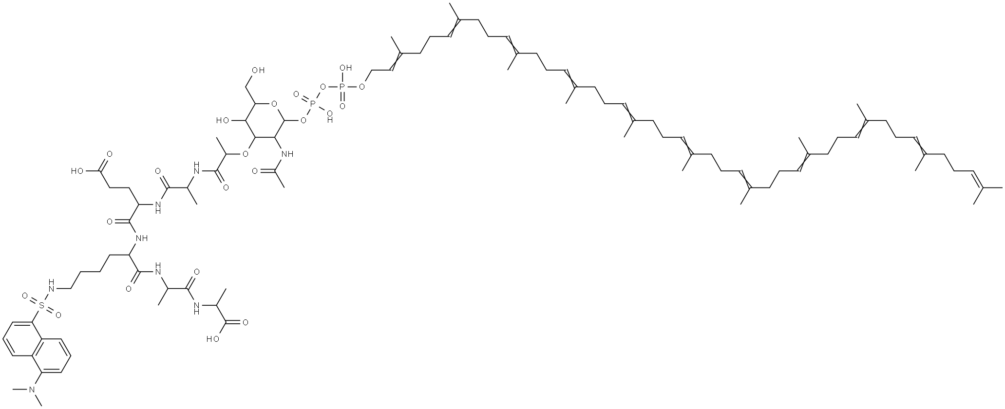 undecaprenyl diphosphate-N-acetylmuramoyl-(5- dimethylaminonaphthalene-1-sulfonyl)pentapeptide Structural