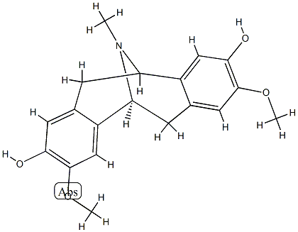 Rotundine Structural