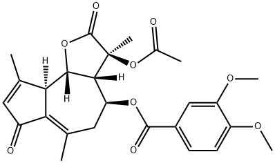 Diversolide G Structural