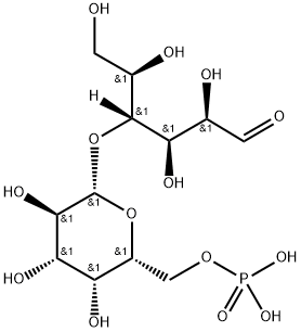 lactose 6'-phosphate Structural