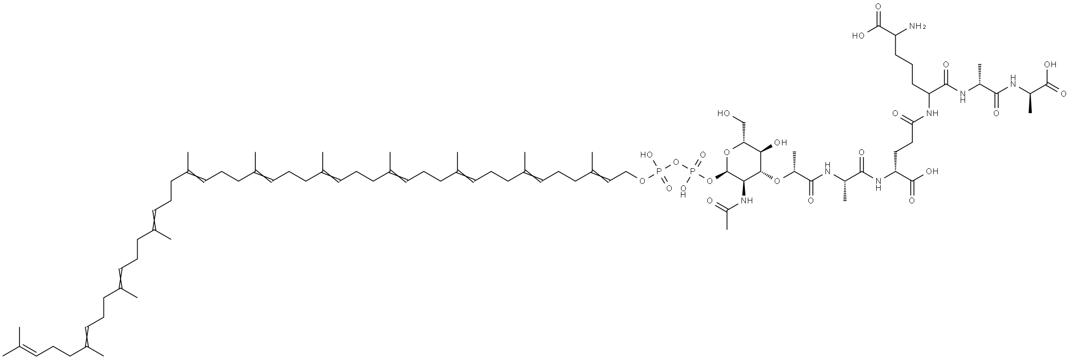 undecaprenyl biphosphate-N-acetylmuramoyl-pentapeptide Structural
