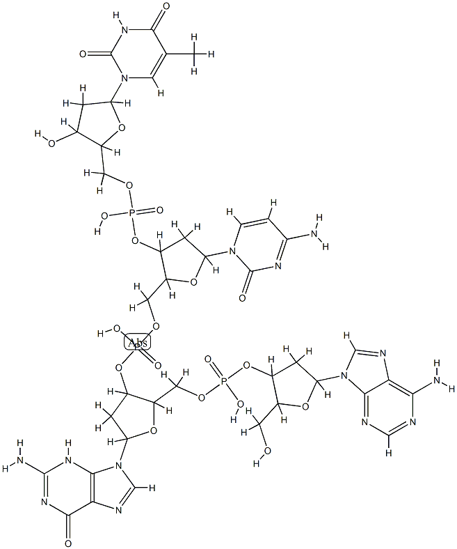 deoxy(thymidylyl-cytidylyl-guanylyl-adenylic acid)