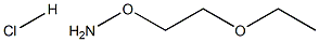O-(2-ethoxy)ethylhydroxylamine hydrochloride(WXC07743) Structural