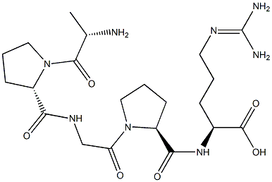 Alkaline Phosphatase Structural