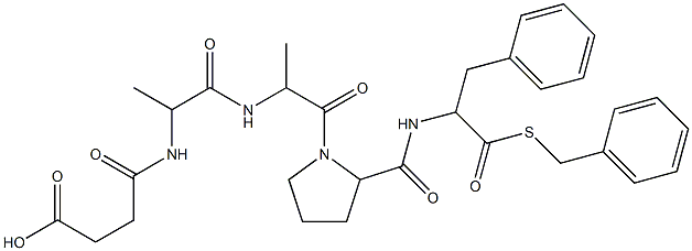 CARBOXYPEPTIDASE B Structural