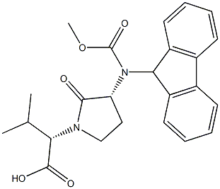 N-FMOC-FREIDINGER'S LACTAM Structural