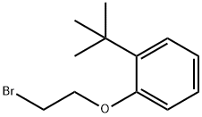 1-(2-bromoethoxy)-2-tert-butylbenzene