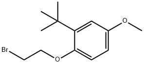 1-(2-bromoethoxy)-2-tert-butyl-4-methoxybenzene