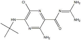 5-(N-tert-butyl)amiloride