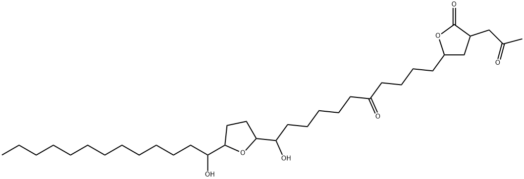 squamone Structural