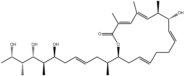 FD 892 Structural