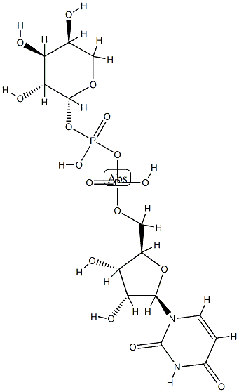 UDP-L-arabinose Structural