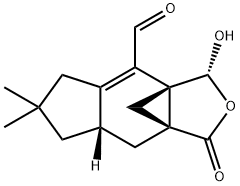 Hyphodontal Structural