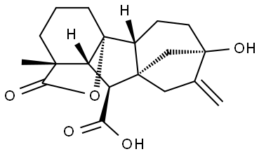 Gibberellin  A20 Structural