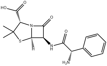 L-Ampicillin Structural