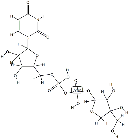 UDP-alpha-D-apiose Structural