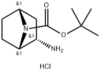 tert-butyl rac-(1S,2S,4R)-2-amino-7-azabicyclo[2.2.1]heptane-7-carboxylate hydrochloride Structural