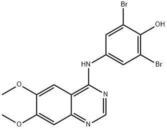 WHI-P97 Structural