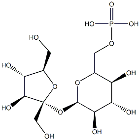 sucrose-6-phosphate Structural
