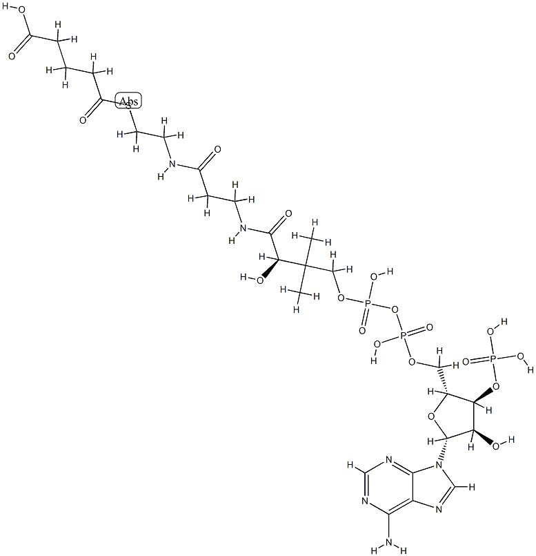 glutaryl-coenzyme A Structural