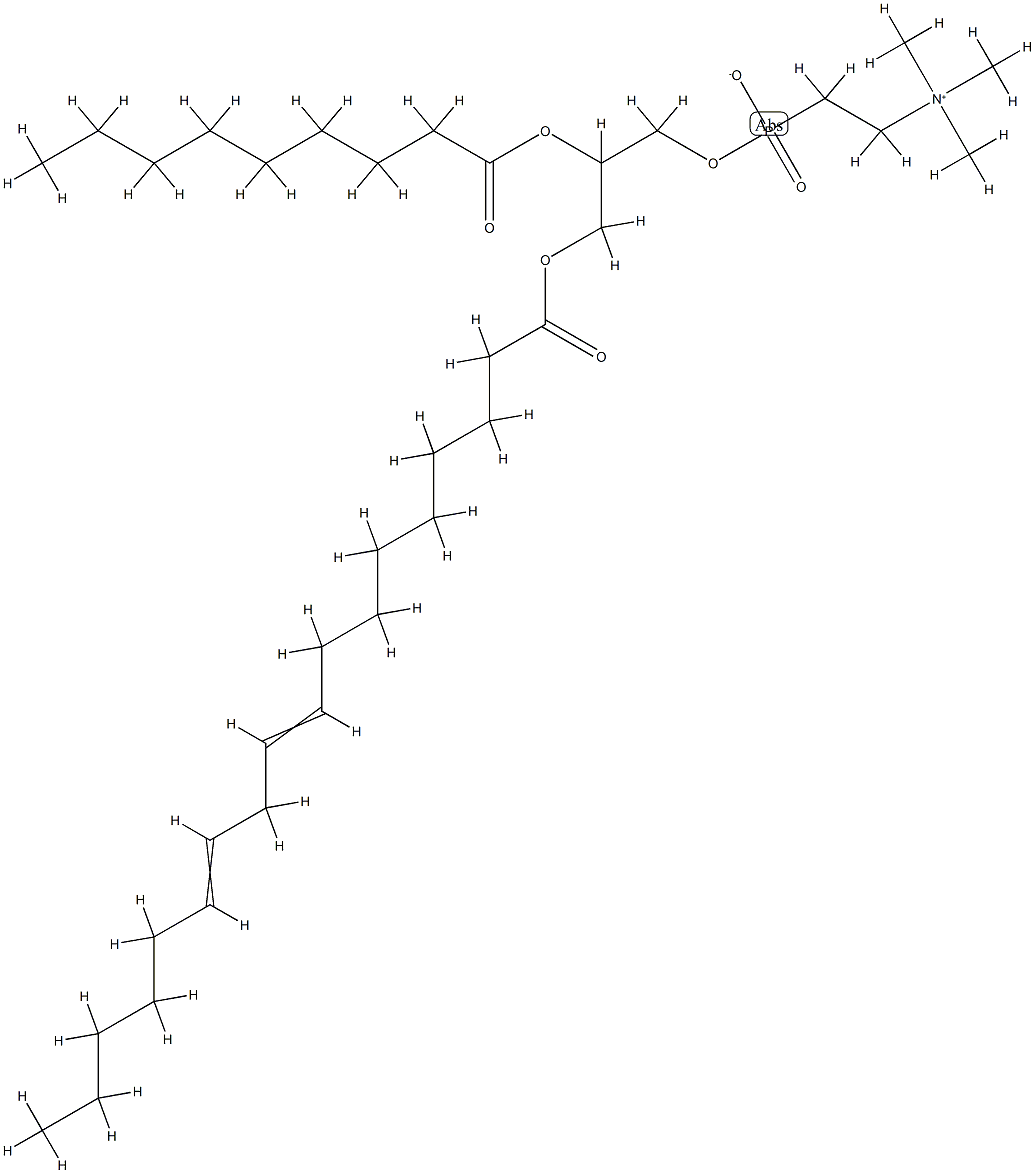 LECITHIN Structural