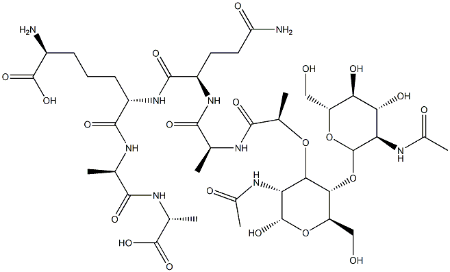 peptidoglycan monomer Structural