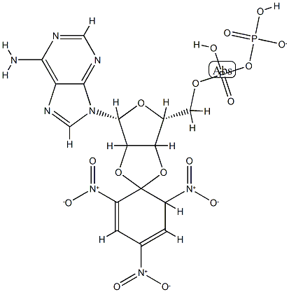 2',3' O-(2,4,6-trinitrophenyl)adenosine 5'-diphosphate