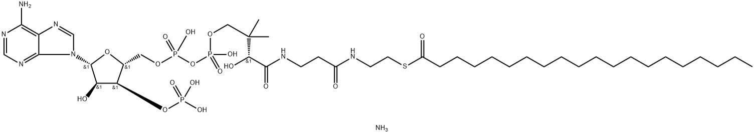 arachidoyl CoenzyMe A (aMMoniuM salt) Structural