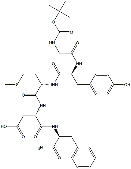 rat gastrin C-terminal pentagastrin Structural