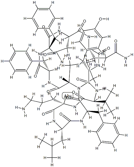 Tyrocidine Structural
