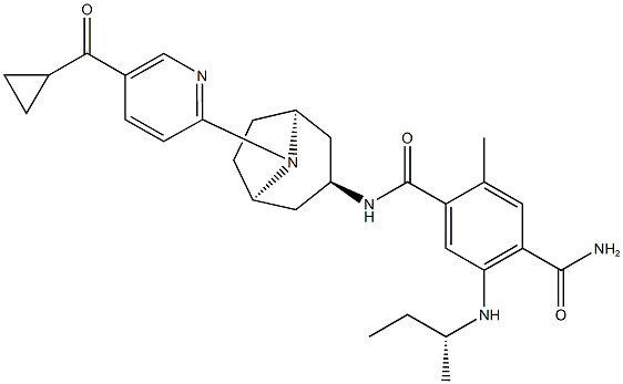 XL888 Structural