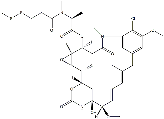 DM1-Sme Structural