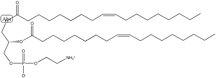 PHOSPHATIDYLETHANOLAMINE Structural